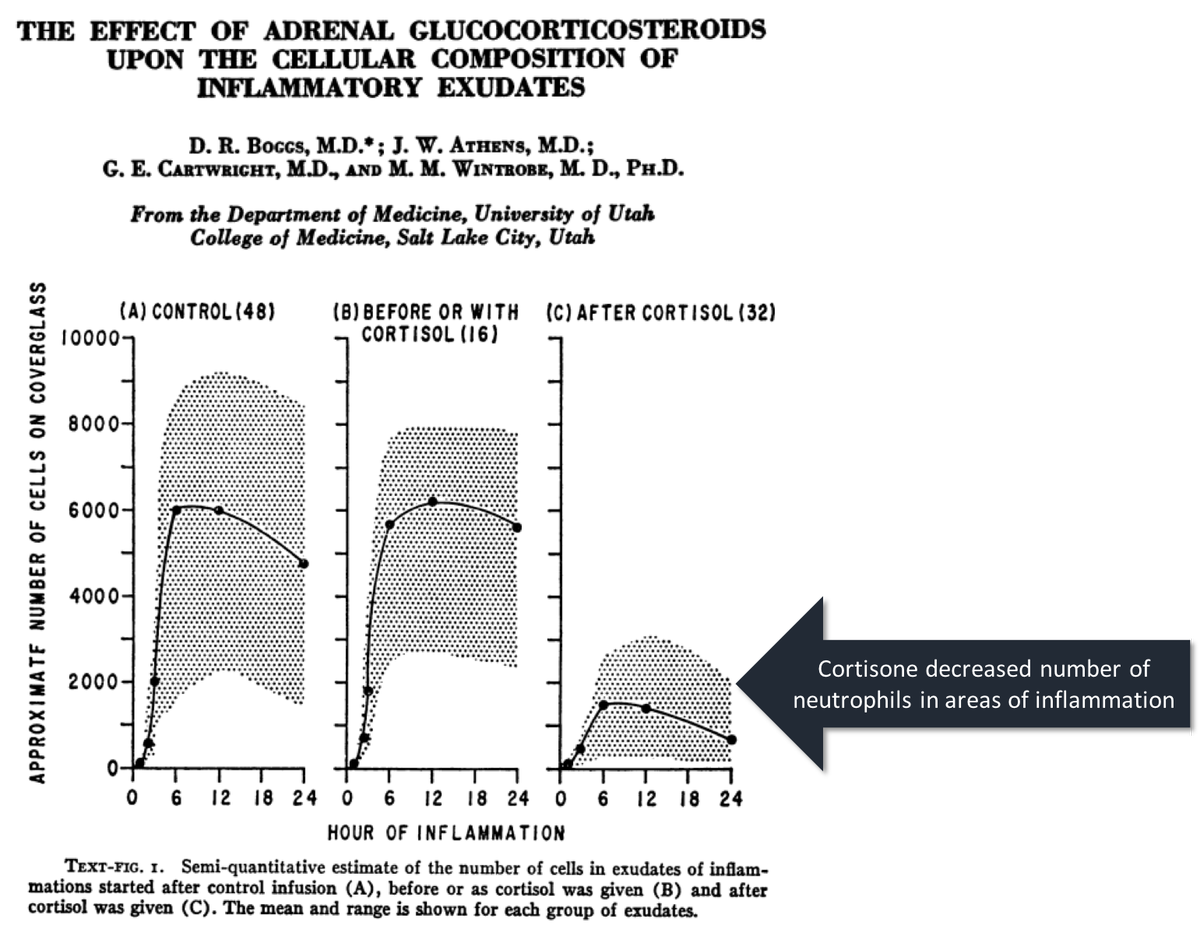 do steroids raise white blood cell count do steroids raise white blood cell count