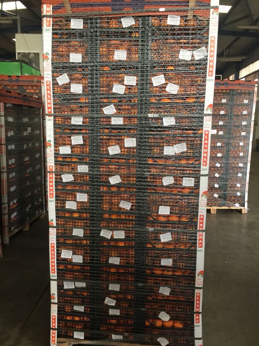 GroupAlashraf's tweet photo. Our #product of last #Season                                     #Orange #Alashraf https://t.co/xMHhKmxW5W