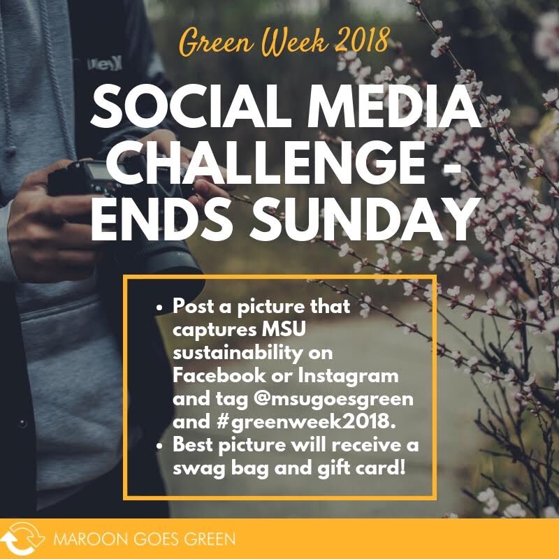 MSUGoesGreen's tweet photo. Social media challenge from now to Sunday. Be creative and have fun! #msugoesgreen #greenweek2018 #maroongoesgreen https://t.co/Z8whqr9lmq