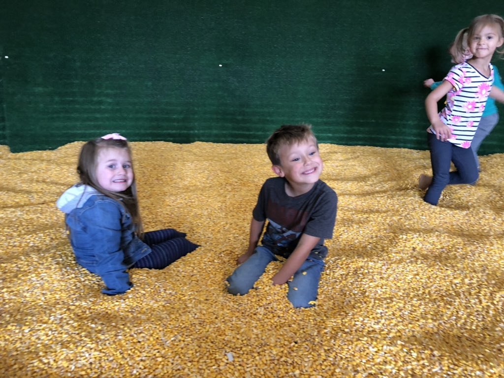 msangieprek's tweet photo. Preschool had two fun and successful trips to Geisler Farms! #AndersonJays #BluejayBeginnings https://t.co/uAoA6BBxdW