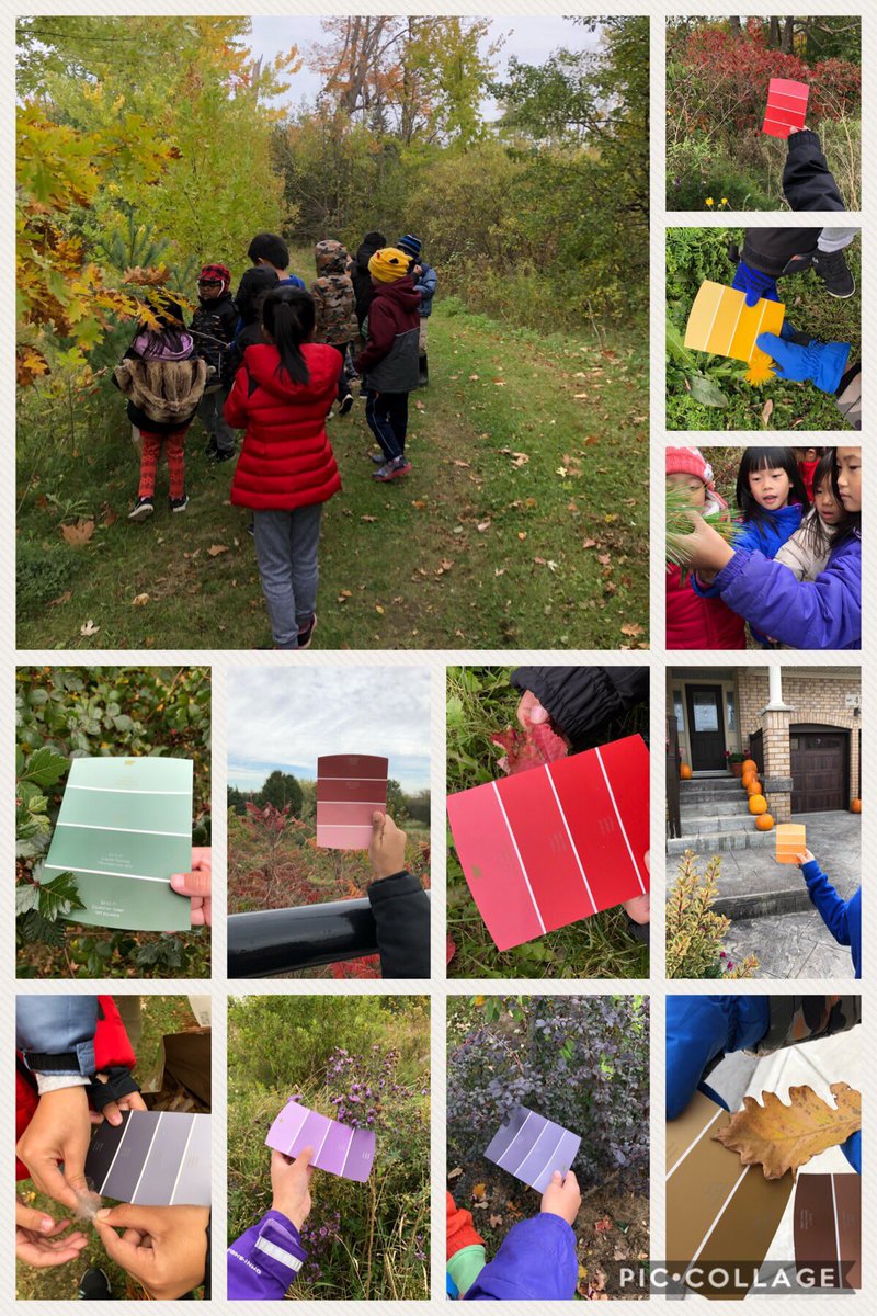 JoyceMerkley's tweet image. Take me Outside everyday as we look closely for the beautiful shades of colours found in nature. @FredVarley @YRDSBGetOut @YRnature @YRDSBArts #elementsofdesign