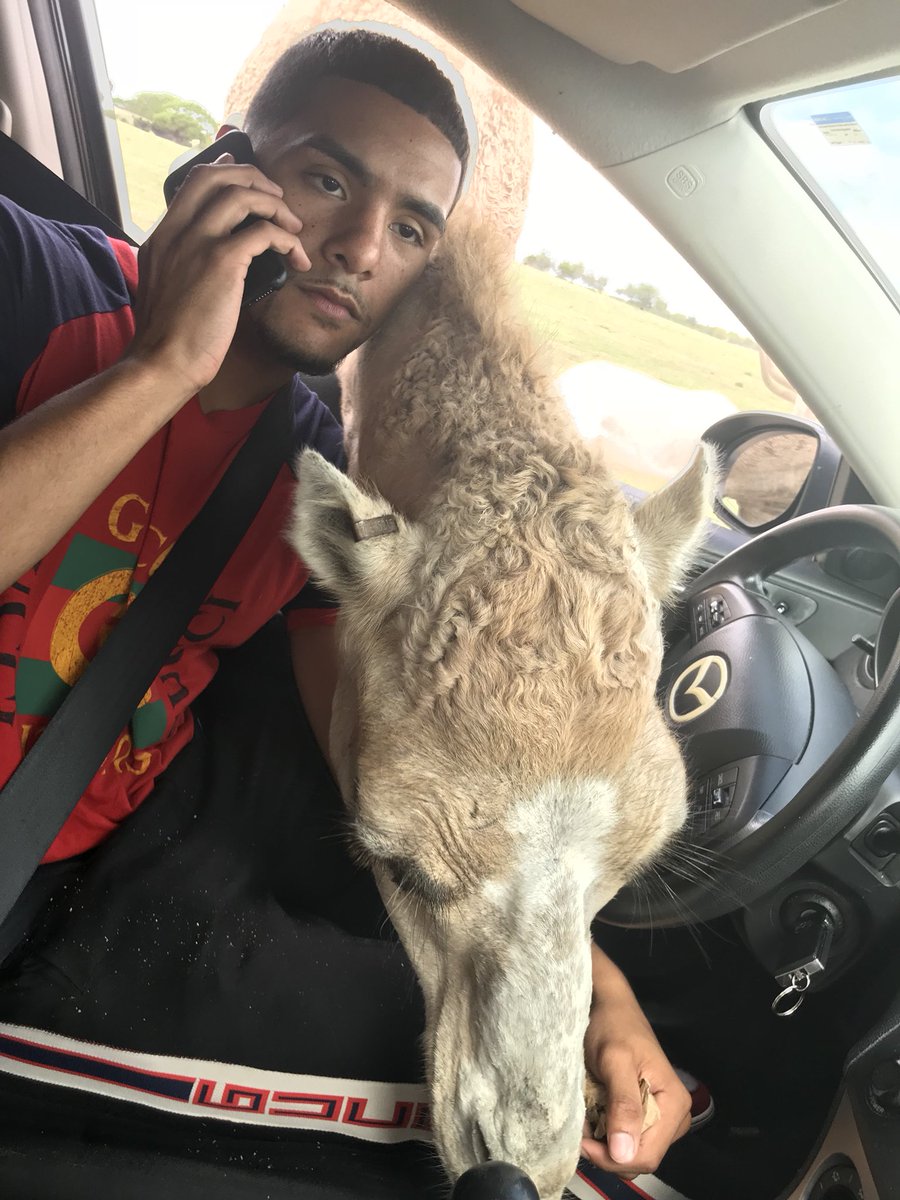 BrotherNature's tweet image. Gotta stay focused