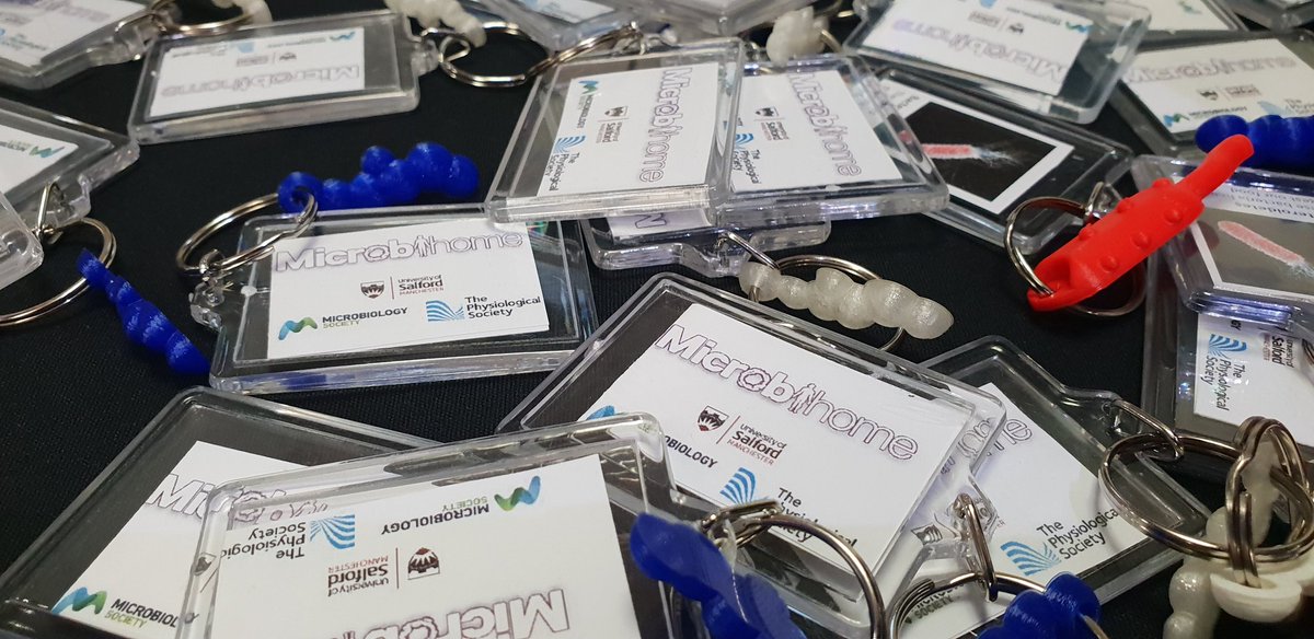 andymiah's tweet photo. Ready for #GameLab18 our major event for #MSF18 getting a bit of technical set up from @ethanmiahgarcia https://t.co/Iuf9va5uEu