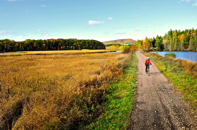 Top 4 Fall Must-Do’s in Nova Scotia 🍂 #novascotia #visitnovascotia #cyclenovascotia #cycling hubs.ly/H0fbLPw0