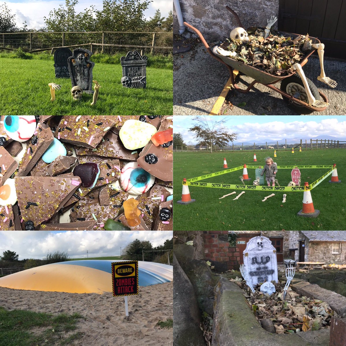 The spooky shenanigans have began at our farm ... who will be brave enough to visit? #halloween #spookyshenanigans #animals #foelfarm #spookyseason #anglesey