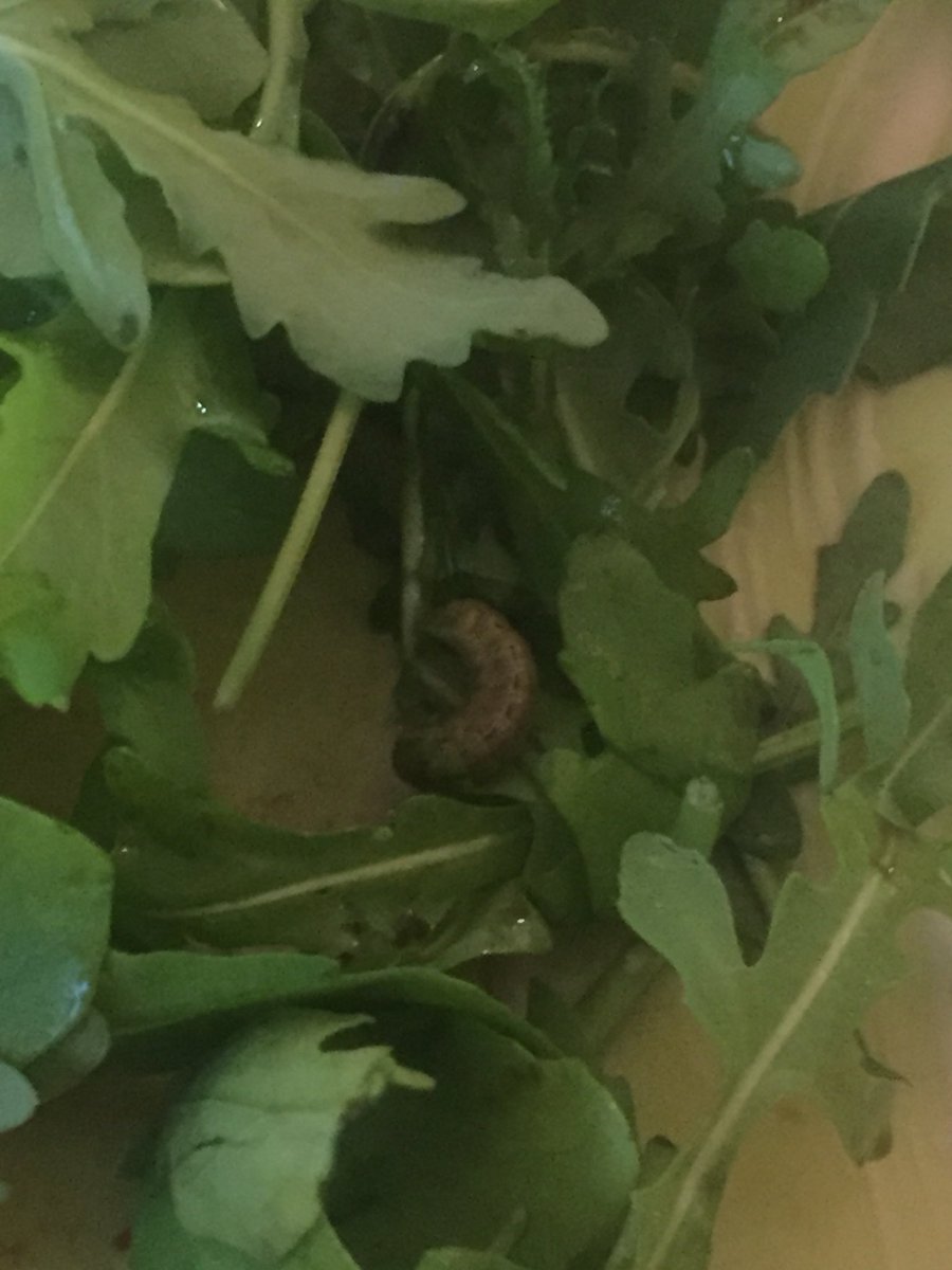 Alan Davidson tweet media