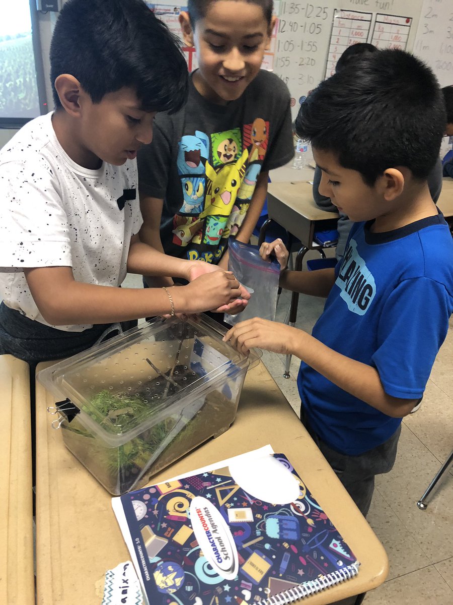 maestraduarte's tweet photo. Estamos alimentando a nuestros anolis verdes. #weare44 https://t.co/DJutxDhANk
