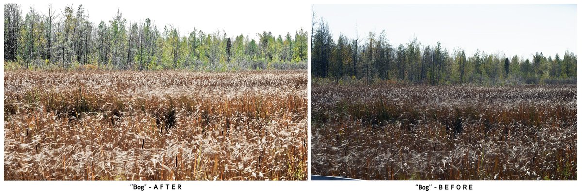 Mark Schacter tweet media