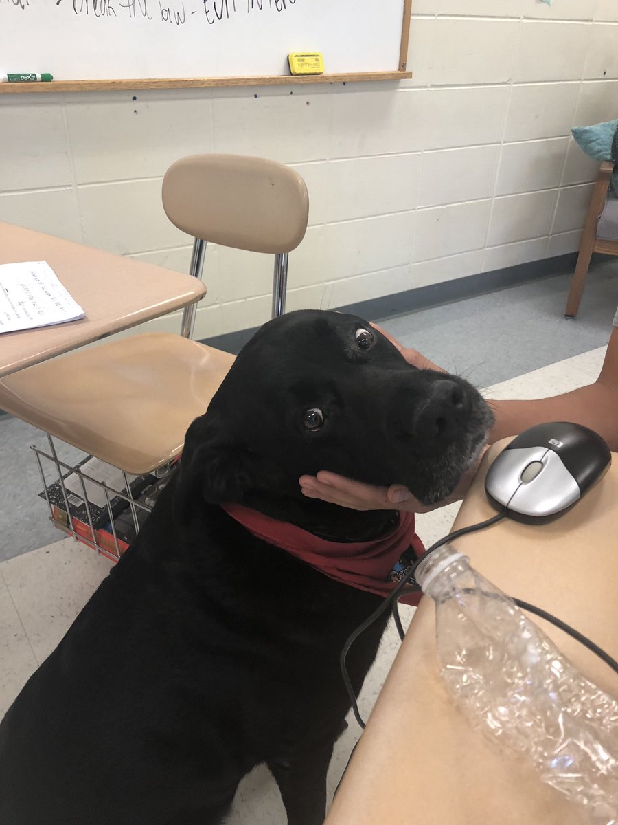 Hector helping us out in class today! 🐾❤️📝