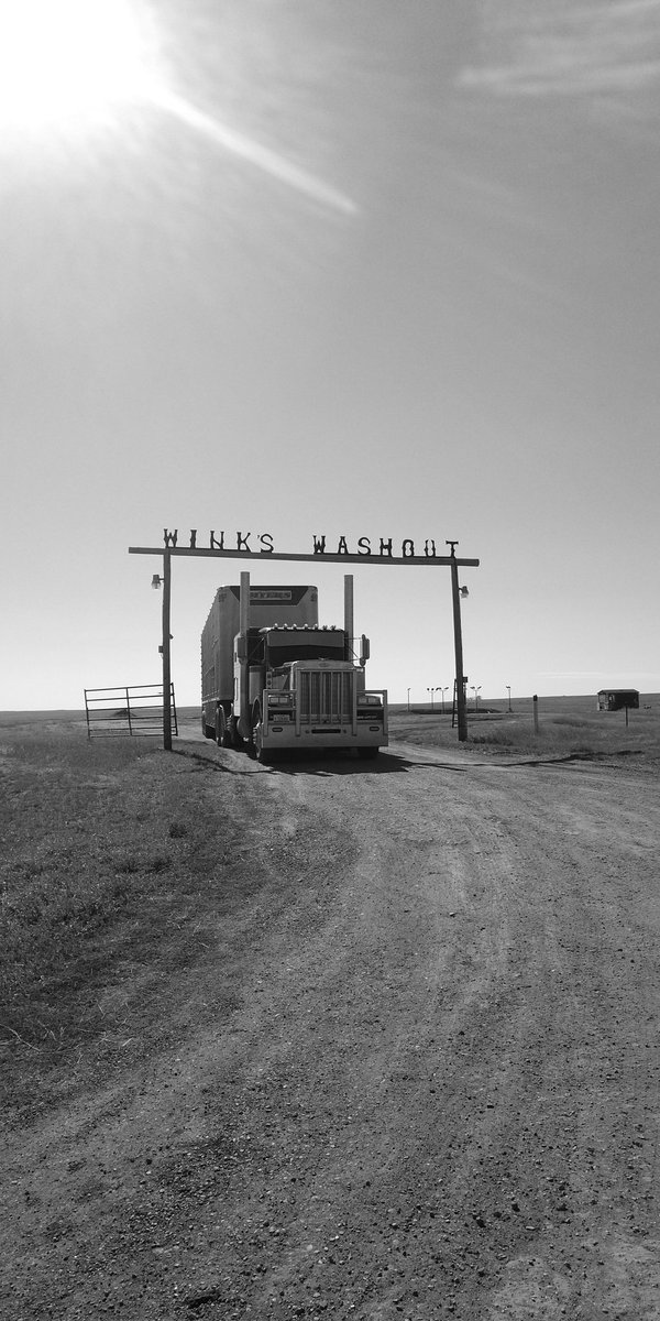 Prairiehauler's tweet photo. Day 4 of #mylifeinblackandwhite @BeauKlug nominated me and I nominate @SennRedAngus since I'm up in his territory today! #fallrun18 https://t.co/wiheLb5GUF