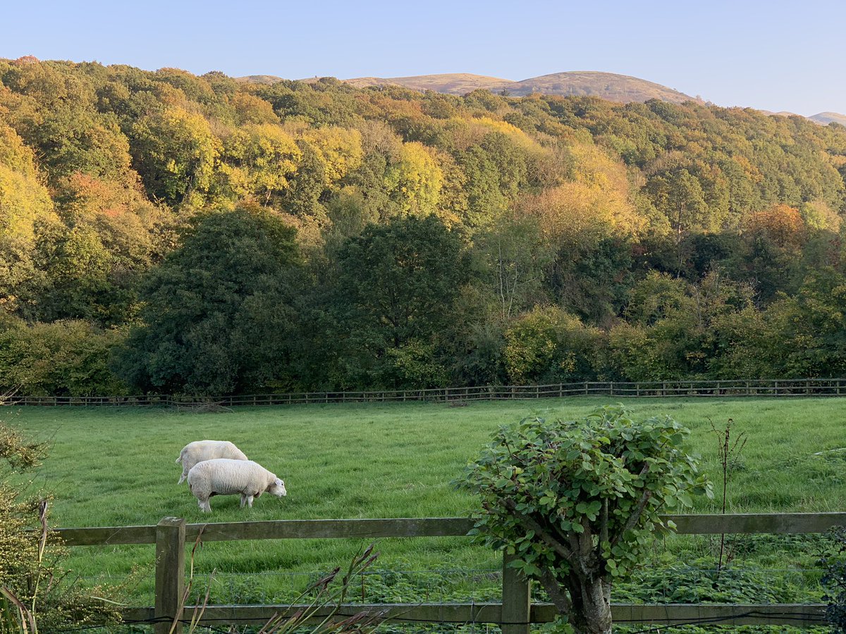 simonraitt's tweet photo. @BBCSpringwatch Malvern Hills Worcestershire shores a good Autumn colour too :) https://t.co/V1aBRaRP7I