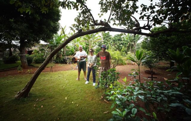 Honolulu Civil Beat (@civilbeat) on Twitter photo Surprise Eviction Notices Have This Old Plantation Community Up In Arms buff.ly/2OA2siX <a href="/stewartyerton/">Stewart Yerton</a> #Hawaii #HInews Surprise Eviction Notices Have This Old Plantation Community Up In Arms buff.ly/2OA2siX <a href="/stewartyerton/">Stewart Yerton</a> #Hawaii #HInews