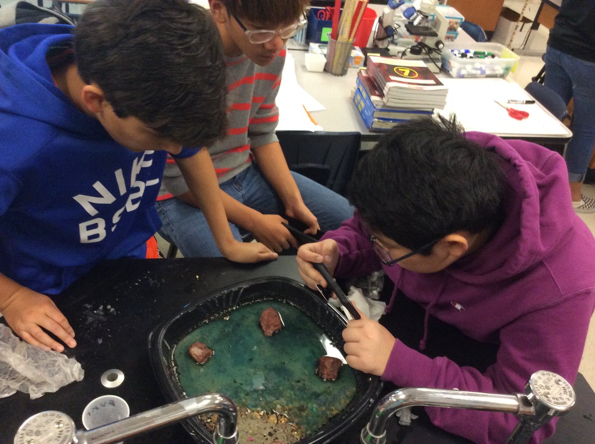 ms_kappen's tweet photo. Check out these amazing watersheds @Killian_MS Ss built to demonstrate how humans can impact water #7thscience #handsonlearning #killianms #creativity https://t.co/GqzjPIdiw6