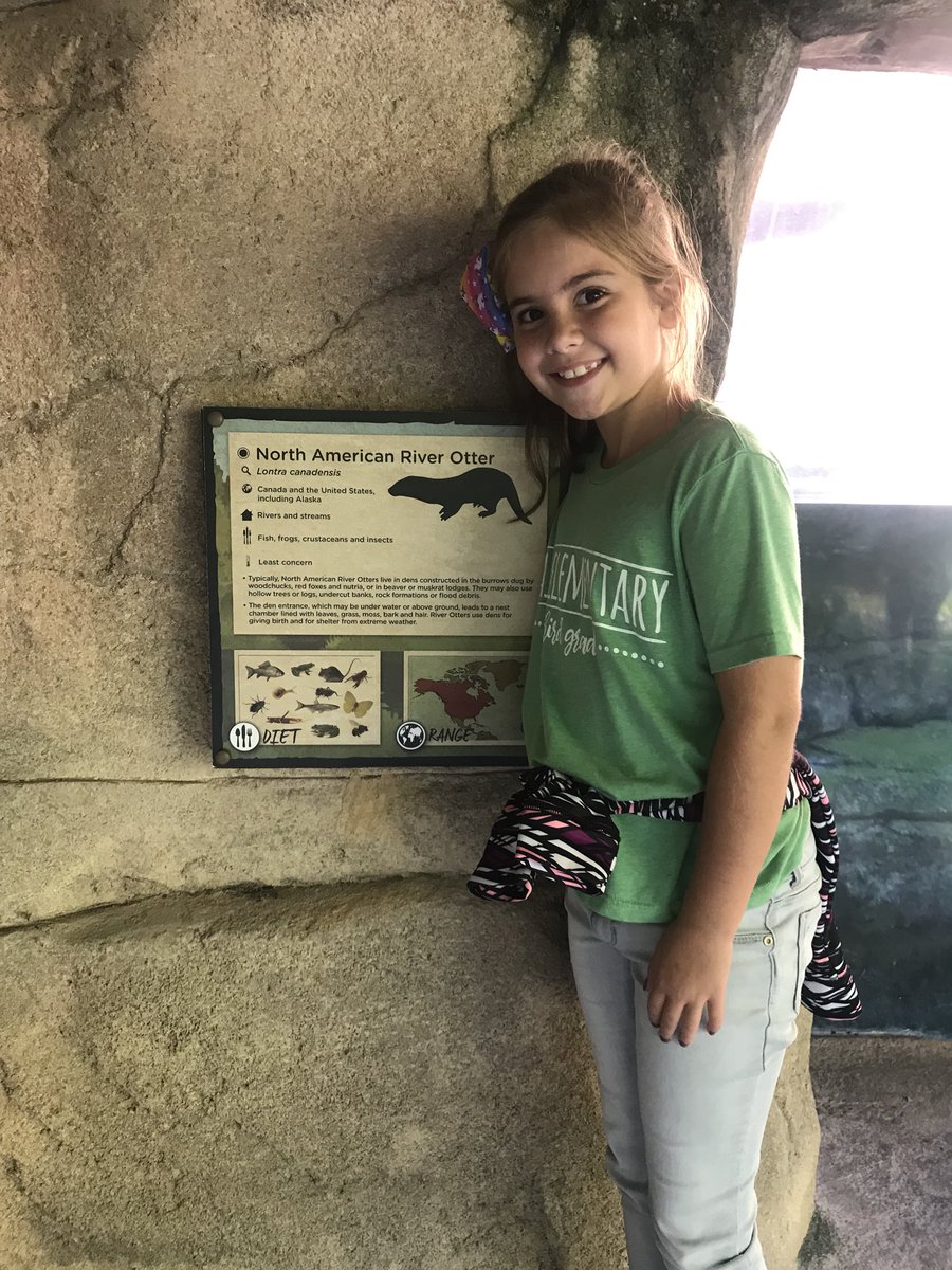 acp21680's tweet image. Hallie found her animal she researched. The North American River Otter! We have had a great day together! #specialeclass