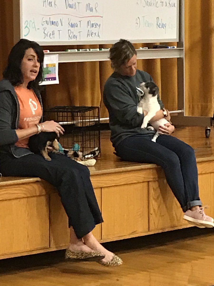 Ms_Cardwell_'s tweet image. Loved having the chance to represent @Providence_AC today and discuss the importance of volunteering. We brought some of Fenway’s friends to @PDSD_Pennell #PDSD4S1B #shorthumansread