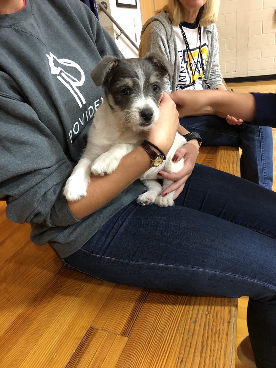 Ms_Cardwell_'s tweet image. Loved having the chance to represent @Providence_AC today and discuss the importance of volunteering. We brought some of Fenway’s friends to @PDSD_Pennell #PDSD4S1B #shorthumansread