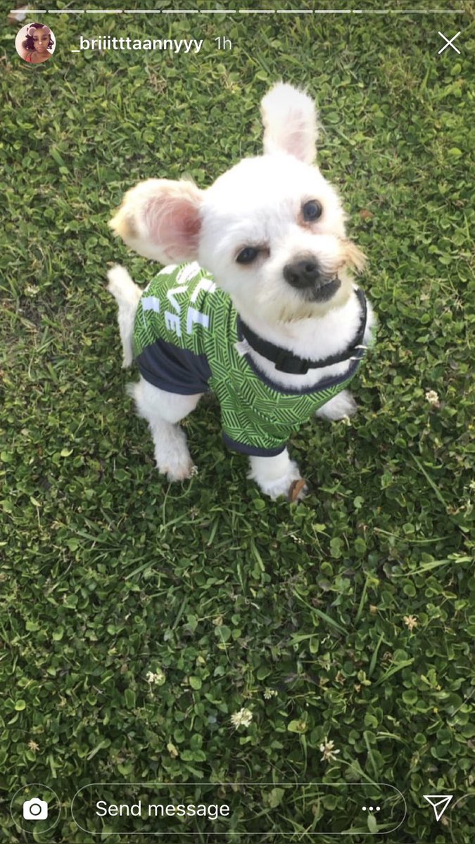 Jakegotstyle's tweet photo. So my dog came up missing a simple retweet can bring him back home 😭.  He was last seen in the 9th ward on Metropolitan  street  #bringjujuhome #imissyoubaby #nolapets #dogdad https://t.co/sriCsoPGxf