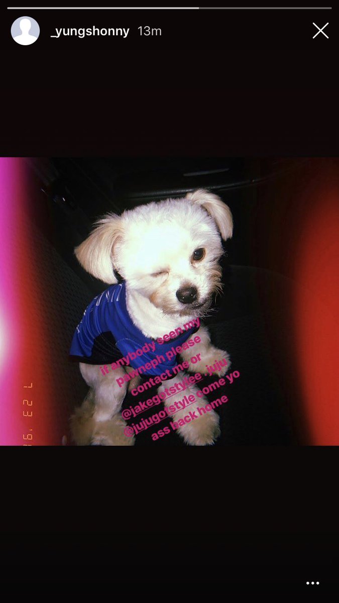 Jakegotstyle's tweet photo. So my dog came up missing a simple retweet can bring him back home 😭.  He was last seen in the 9th ward on Metropolitan  street  #bringjujuhome #imissyoubaby #nolapets #dogdad https://t.co/sriCsoPGxf
