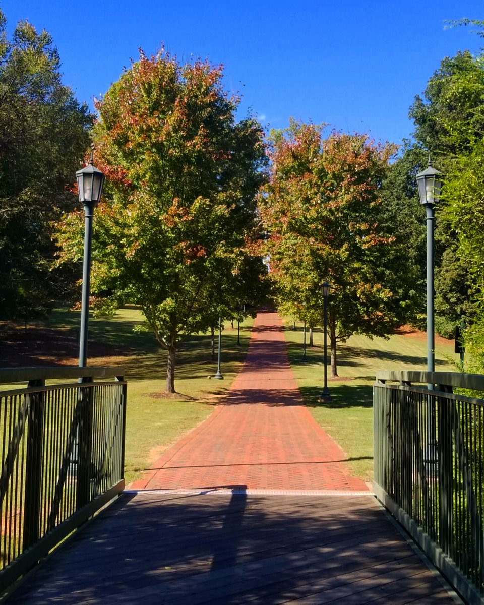 Niner_Sierra18's tweet photo. Name a more GORGEOUS campus? I’ll wait 💚💛 #NinerPicks #uncc23 #uncctransfers https://t.co/dXyIVmA7tG