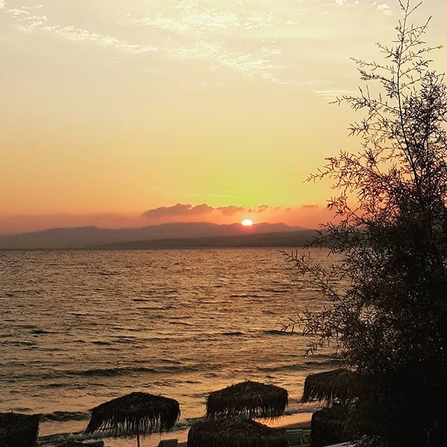 LindianCollect's tweet photo. Another day, another picture perfect sunset in paradise 🌅

#Pefkos #mypefkos #travel #traveltheworld #holidays #summer2018 #greece #summerinpefkos  #greecelover #rhodes #iloverhodes #islandlife #discovergreece #greeksummer #visitgreece  #instagreece … https://t.co/97BRBZMxfF https://t.co/afpW6DZOkX