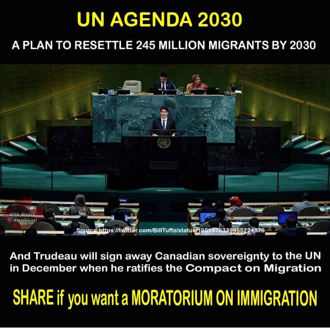 Cultural Action Party 🍁 tweet media