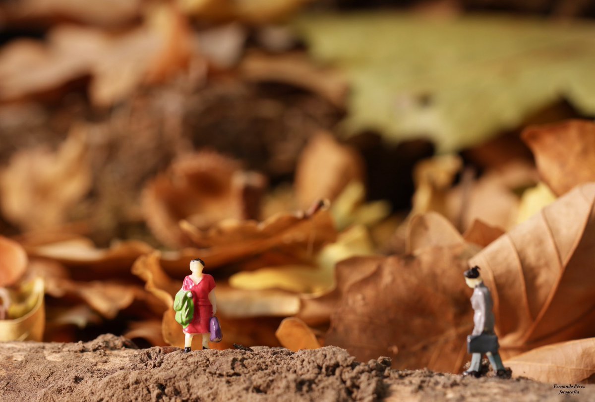 fepesa20's tweet photo. #Otoño2018 #Herbst #BadOeynhausen https://t.co/yYqCkAXcPI