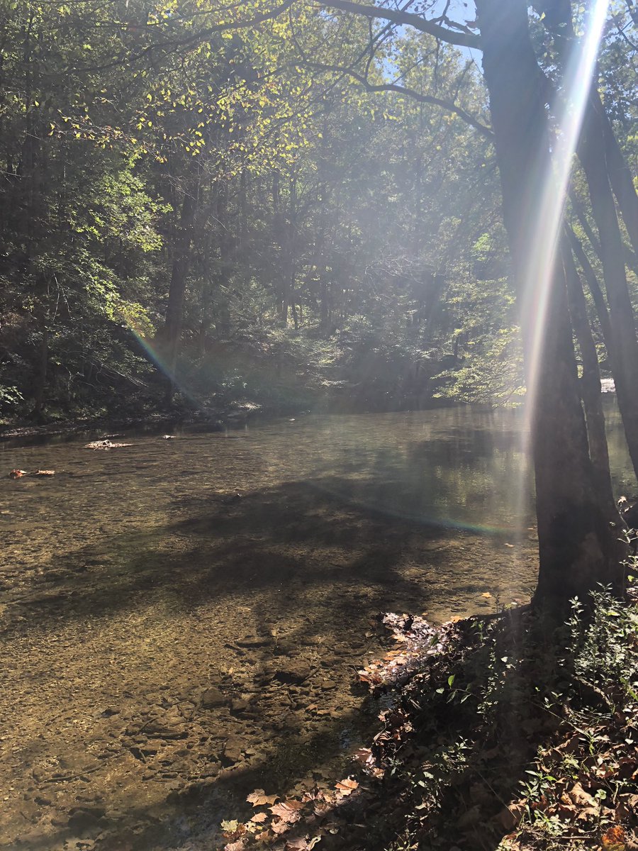 HikeAdventures's tweet photo. Sunny fall adventures!!
#ohiofall18
#falldaysinohio
#hike #hiking #optoutide #ohiofindithere #liveyouradventure #hikingtrails #ohiostatepark #ohioadventure #exploremore #exploreoh #hikingfamily https://t.co/44ePK76b9W