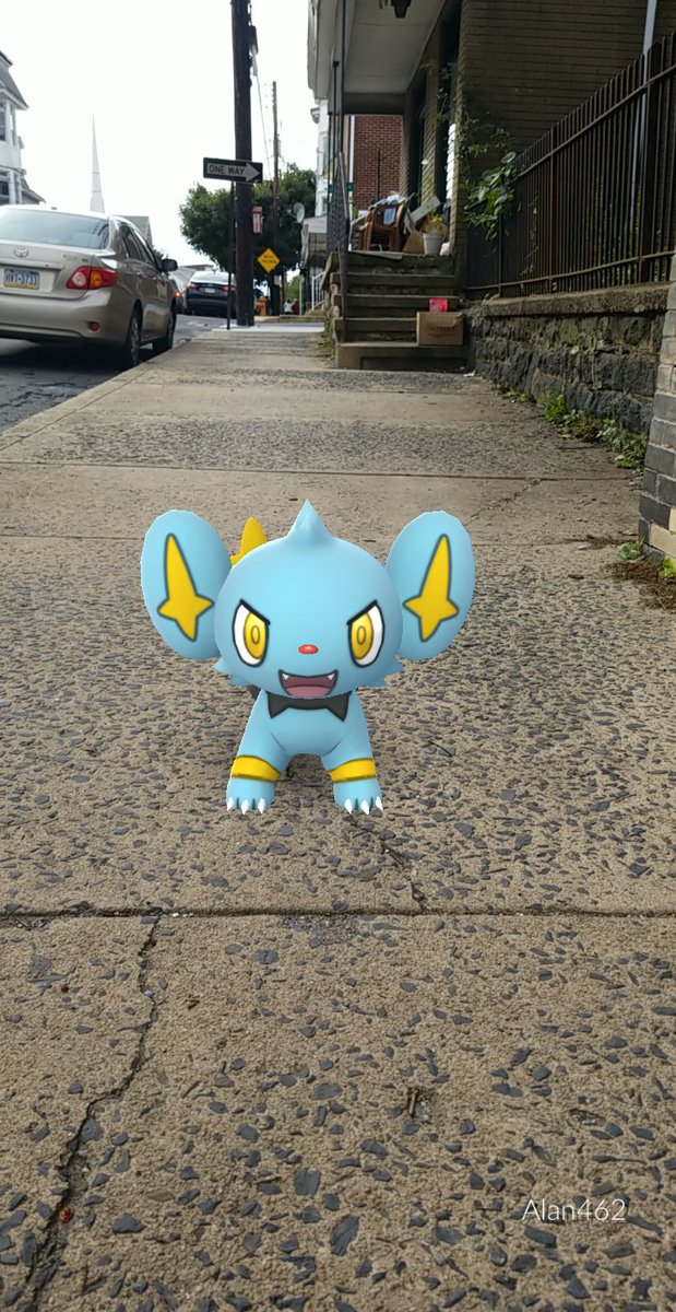 ValorV8's tweet image. Shinx is out for blood! Or maybe it's just playing? 😂 #PokemonGo #ARPlus #Shinx
