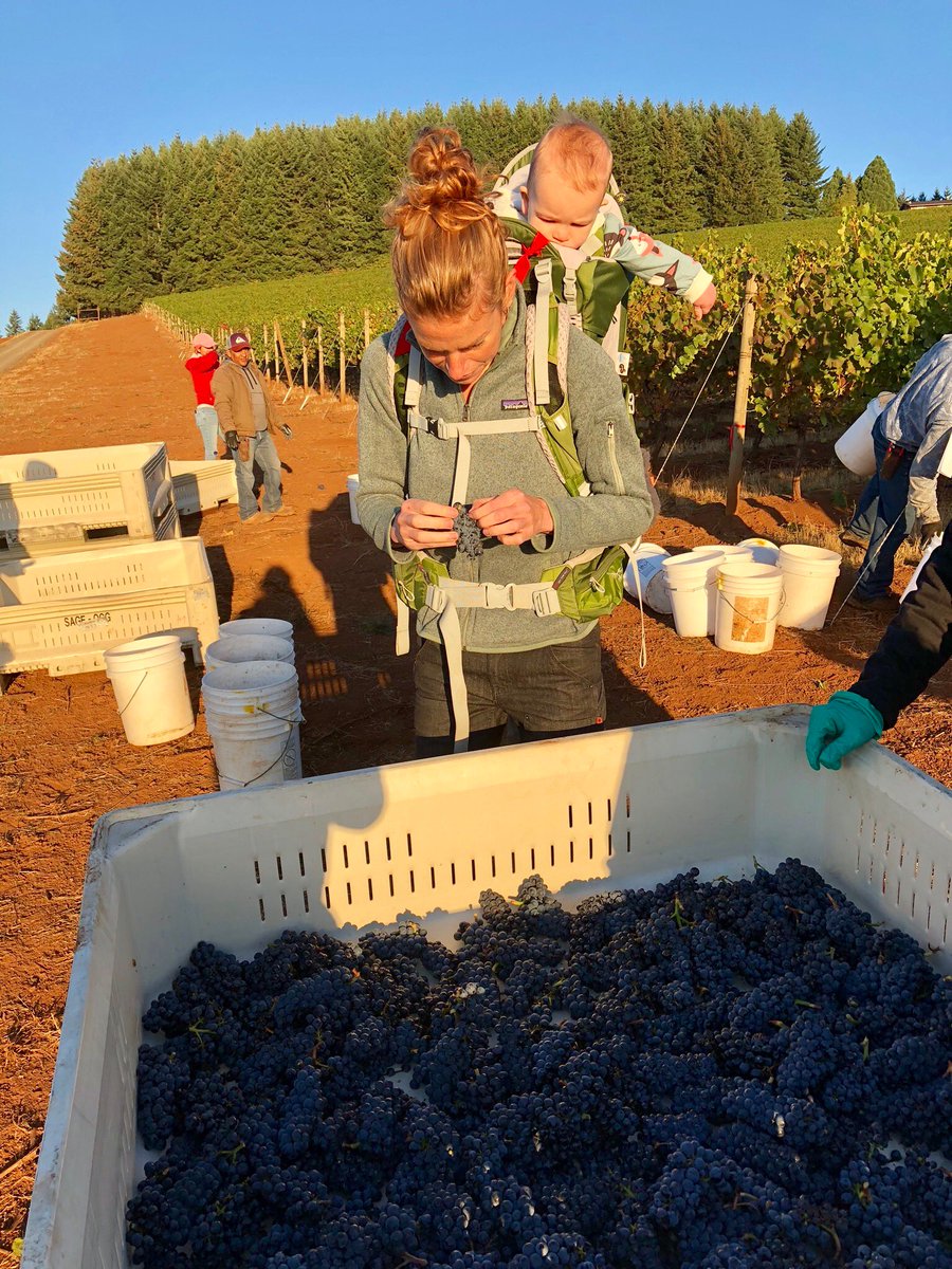 Domaine Nicolas-Jay tweet media