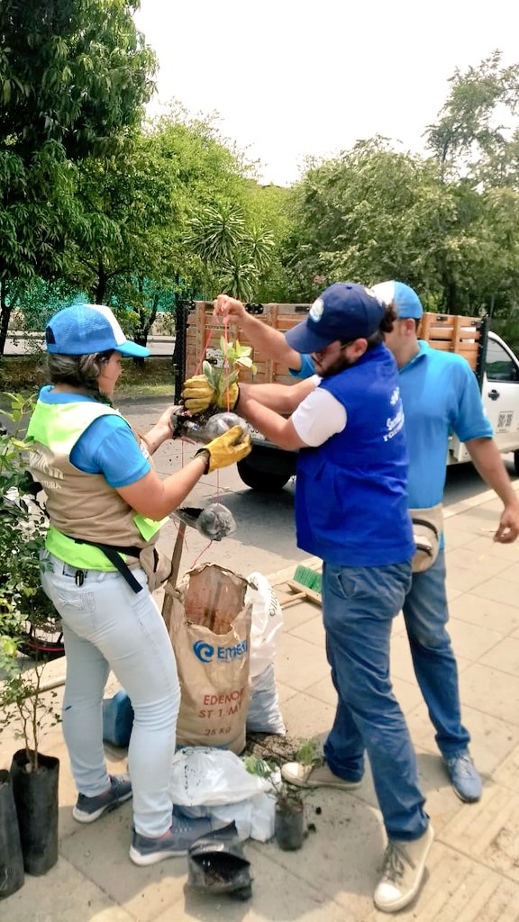 SECPAZYCC's tweet photo. Transformando el entorno de la IE Simón Bolívar en Siloé, con nuestras huertas verticales. Acciones pedagógicas con la Mesa de Cultura Ciudadana para la Paz de la Comuna 20, los Gestores de Paz y Cultura Ciudadana, @DagmaOficial y Ciudad Limpia. #CaliProgresaContigo https://t.co/fRRHEZZLF5