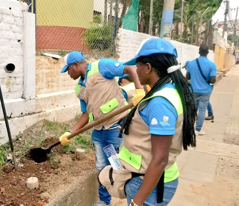 SECPAZYCC's tweet photo. Transformando el entorno de la IE Simón Bolívar en Siloé, con nuestras huertas verticales. Acciones pedagógicas con la Mesa de Cultura Ciudadana para la Paz de la Comuna 20, los Gestores de Paz y Cultura Ciudadana, @DagmaOficial y Ciudad Limpia. #CaliProgresaContigo https://t.co/fRRHEZZLF5