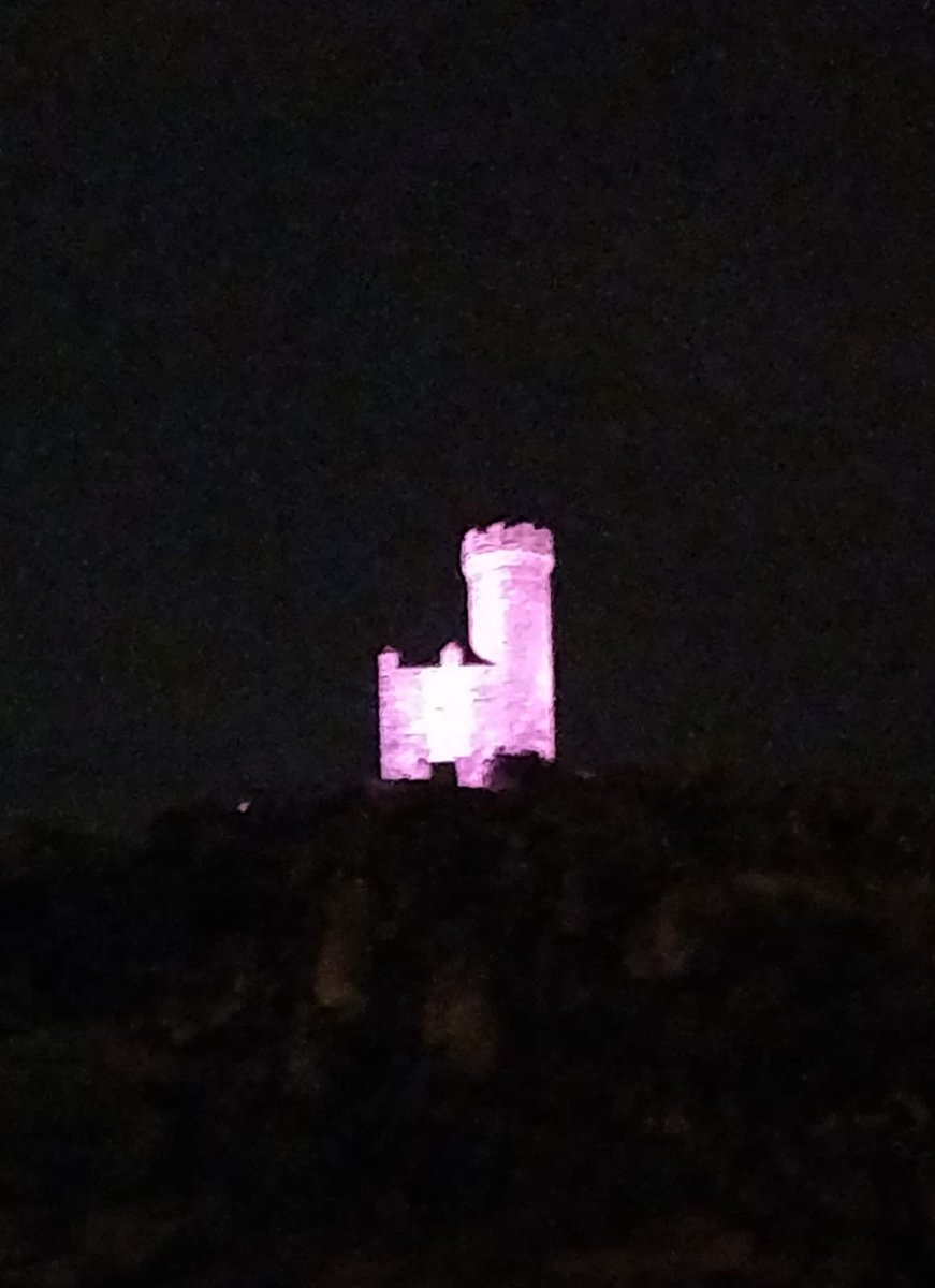 raquelvecinos's tweet photo. Hoy Torrelodones viste de rosa su Torre en homenaje a todas las luchadoras contra el #CancerDeMama @vxtorrelodones @biurrun74 @Fernandezy69 @luzmavicen @escrespo10 @RosaRivet @Tmoralujan @juanluiscano https://t.co/lQ9Ei0RFQX