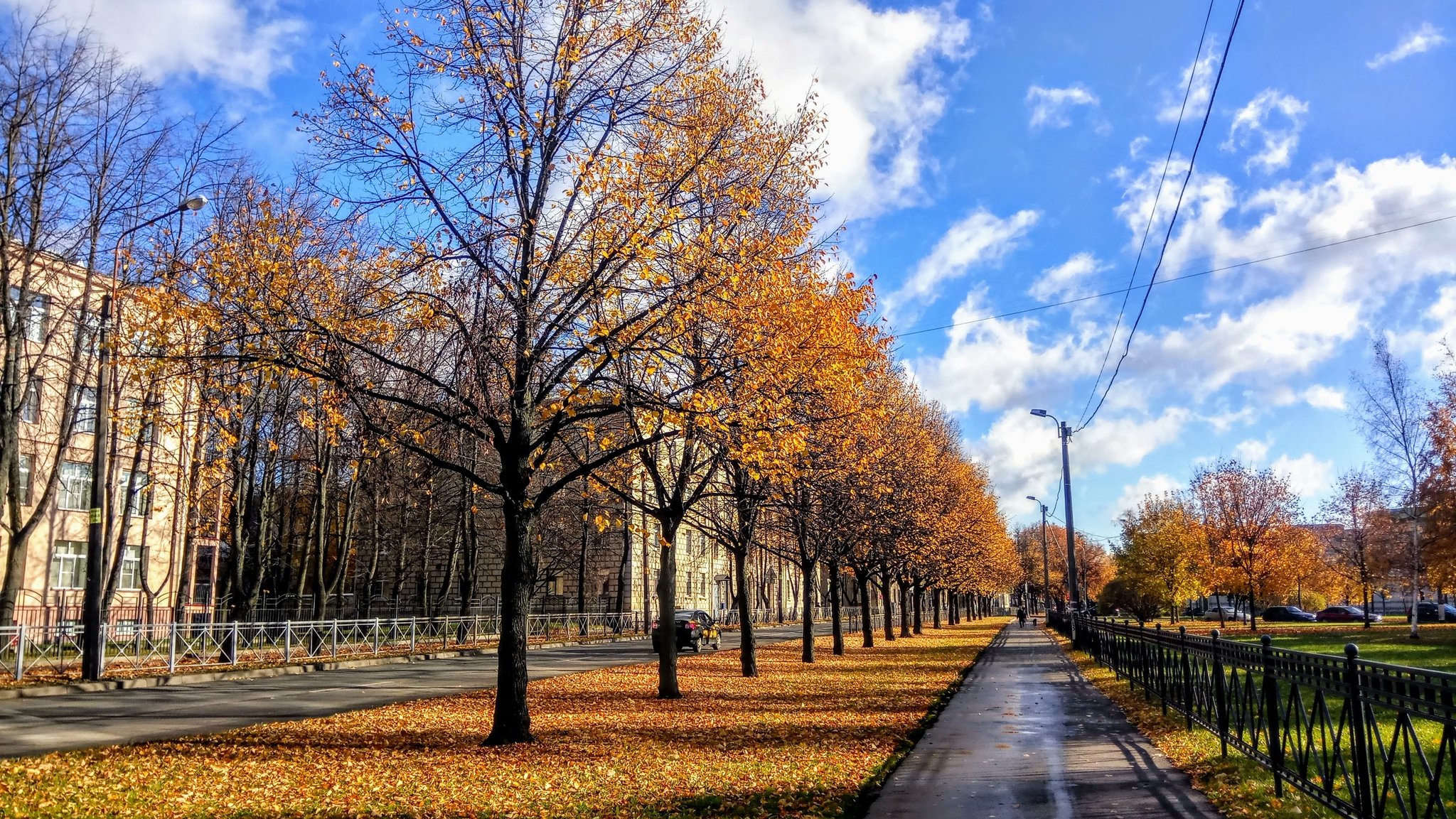 Городской сад колпино