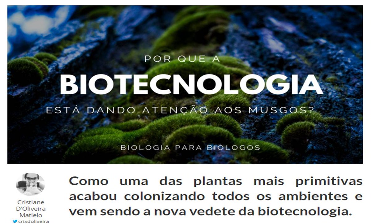 crixdoliveira's tweet image. Fala pessoal, saiu meu segundo texto no blog Biologia para Biólogos. Desta vez escrevi um pouco sobre os musgos. Confiram lá ➡️ goo.gl/DBDM6N 😉
#biology #textonovo #confiram #musgos