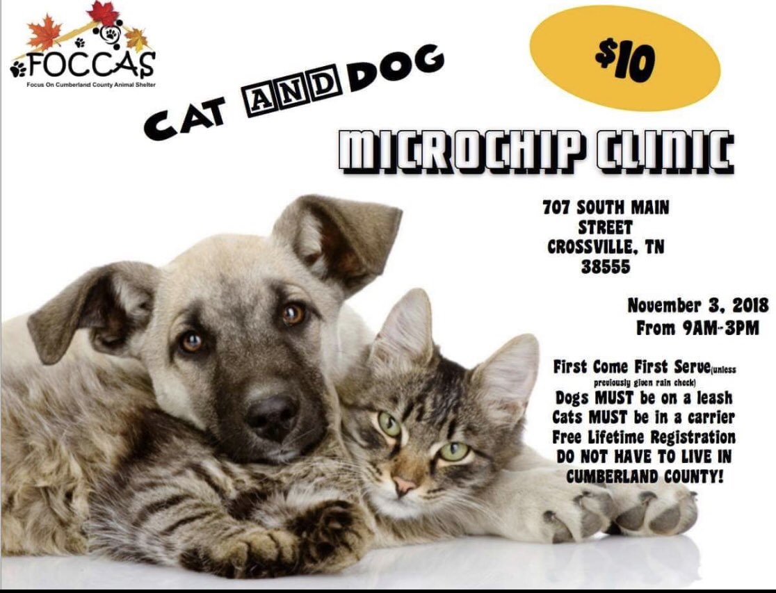 Focus on Cumbeland County Animal Safety (FOCCAS) (@FOCCASTNRESCUE) / Twitter Focus on Cumbeland County Animal Safety (FOCCAS) (@FOCCASTNRESCUE) / Twitter