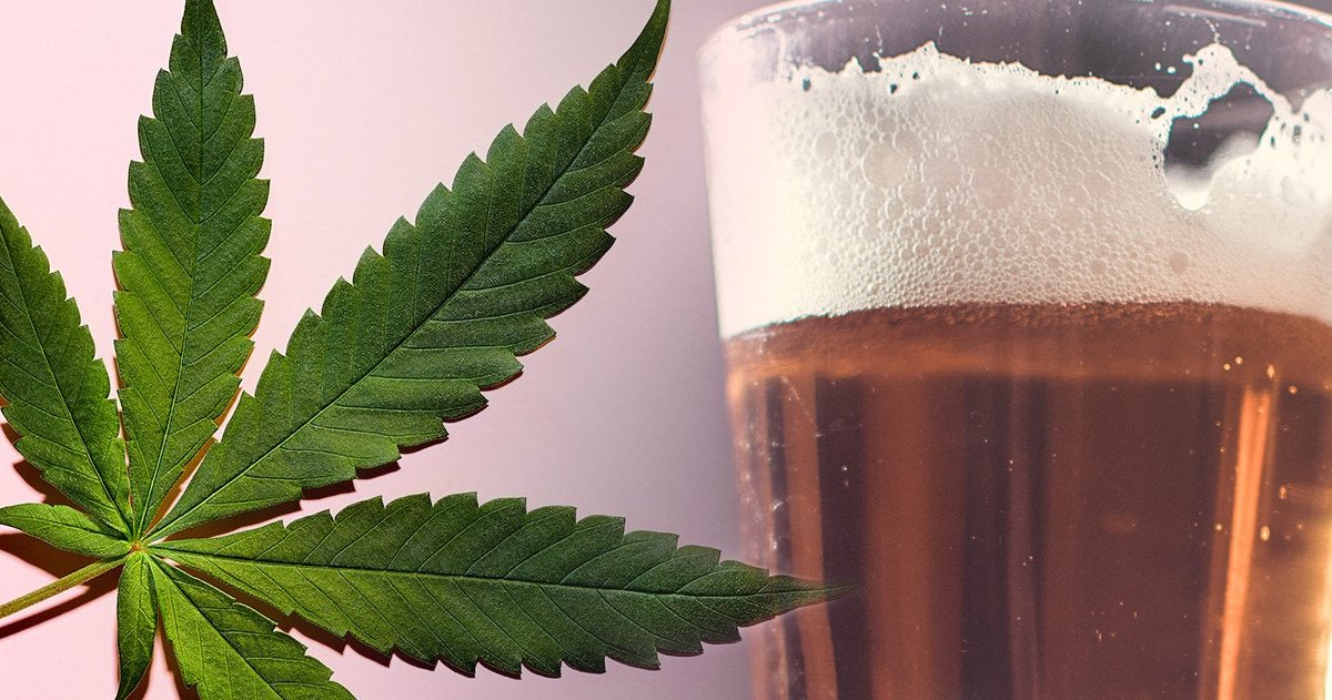 JustBeerApp's tweet photo. Weed beer is near! Marijuana is legal in Canada, so Cannabis companies are pushing to fill the high demand of a smoke-free high. 🍺 #weedbeer #cannabisbeer #justbeerapp https://t.co/Ut8y5iFC8p https://t.co/W4KspBZI18