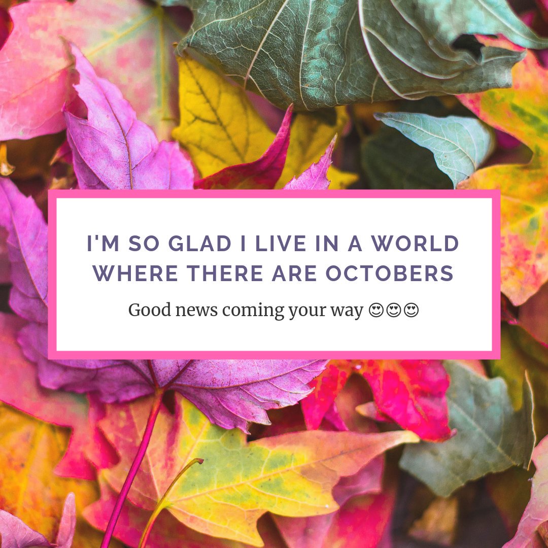 AAleakwe's tweet photo. #autumn #FridayMotivation #love https://t.co/X6cREd63jS