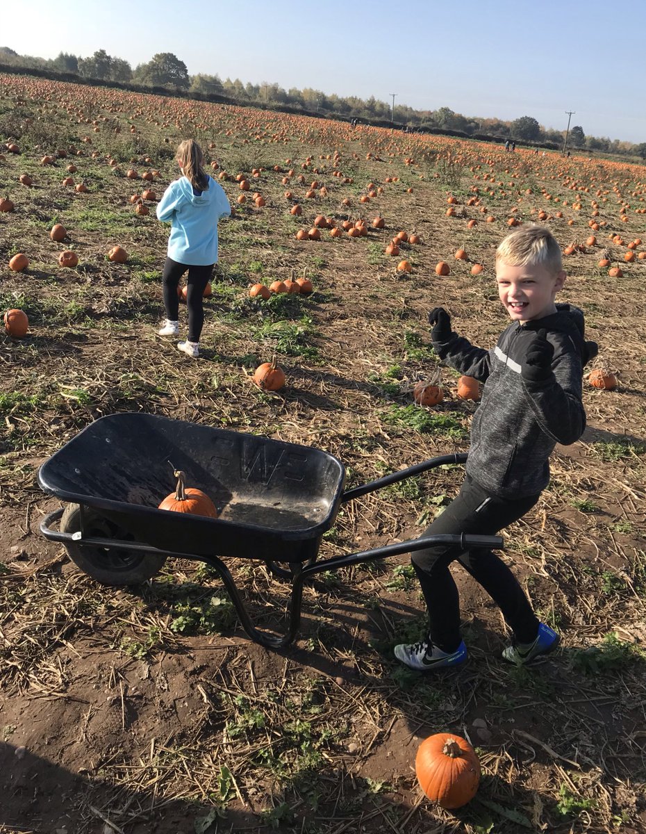 KelkirkKel's tweet image. @latimerprimary #latimeroutdoorplay Pumpkin picking / football at the park /  autumn scavenger hunt in Bradgate for Ethan this half term #classAF