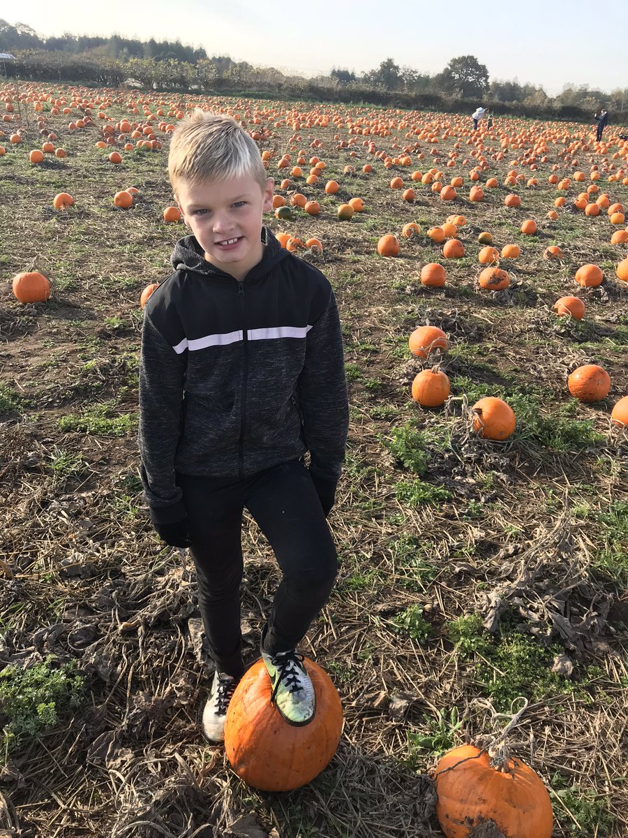 KelkirkKel's tweet image. @latimerprimary #latimeroutdoorplay Pumpkin picking / football at the park /  autumn scavenger hunt in Bradgate for Ethan this half term #classAF