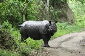 Proverbs_Club's tweet image. 10 Real-World Blockchain Applications and Use Cases Beyond Cryptocurrency oal.lu/BM1ba #blockchain #blockchainuses