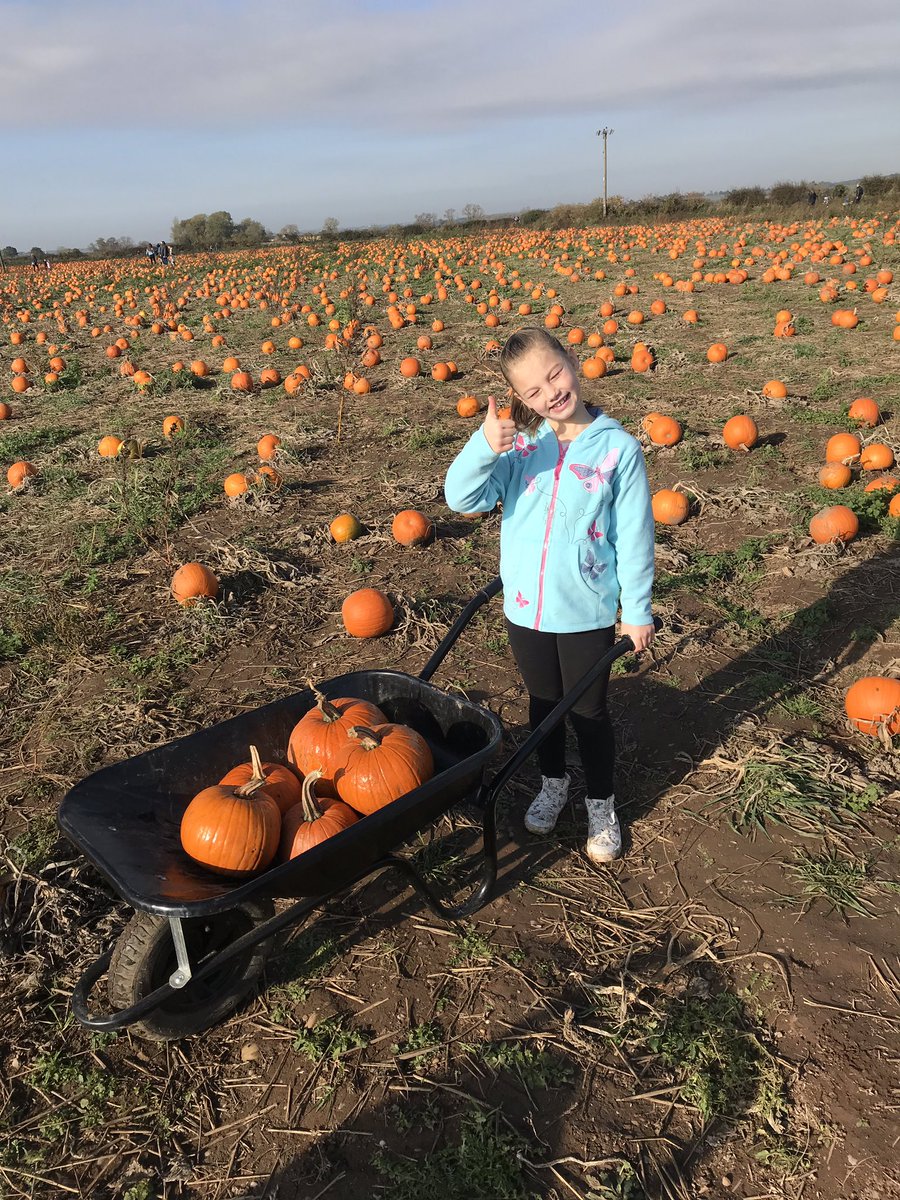 KelkirkKel's tweet image. @latimerprimary #latimeroutdoorplay Pumpkin picking / playing at the park / autumn scavenger hunt in Bradgate for Freya this half term #classPK