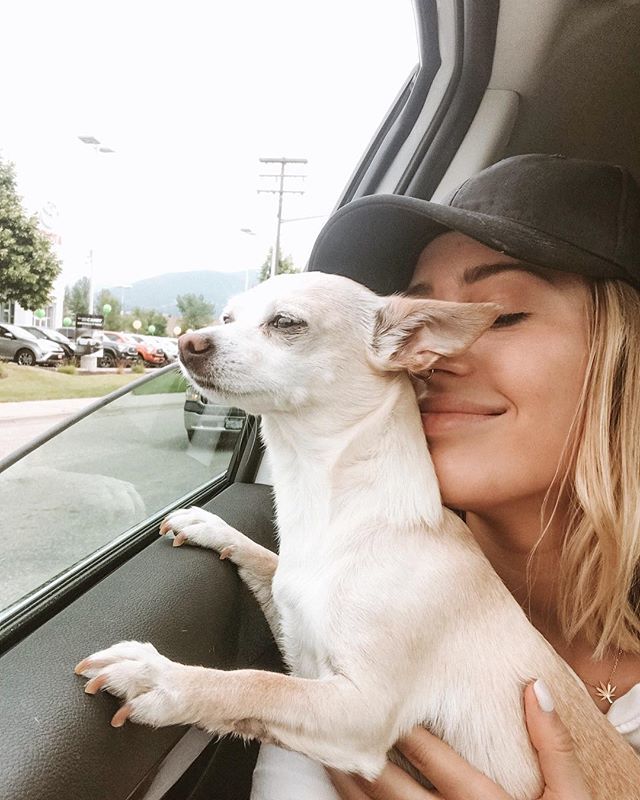 Karissa Pukas tweet media