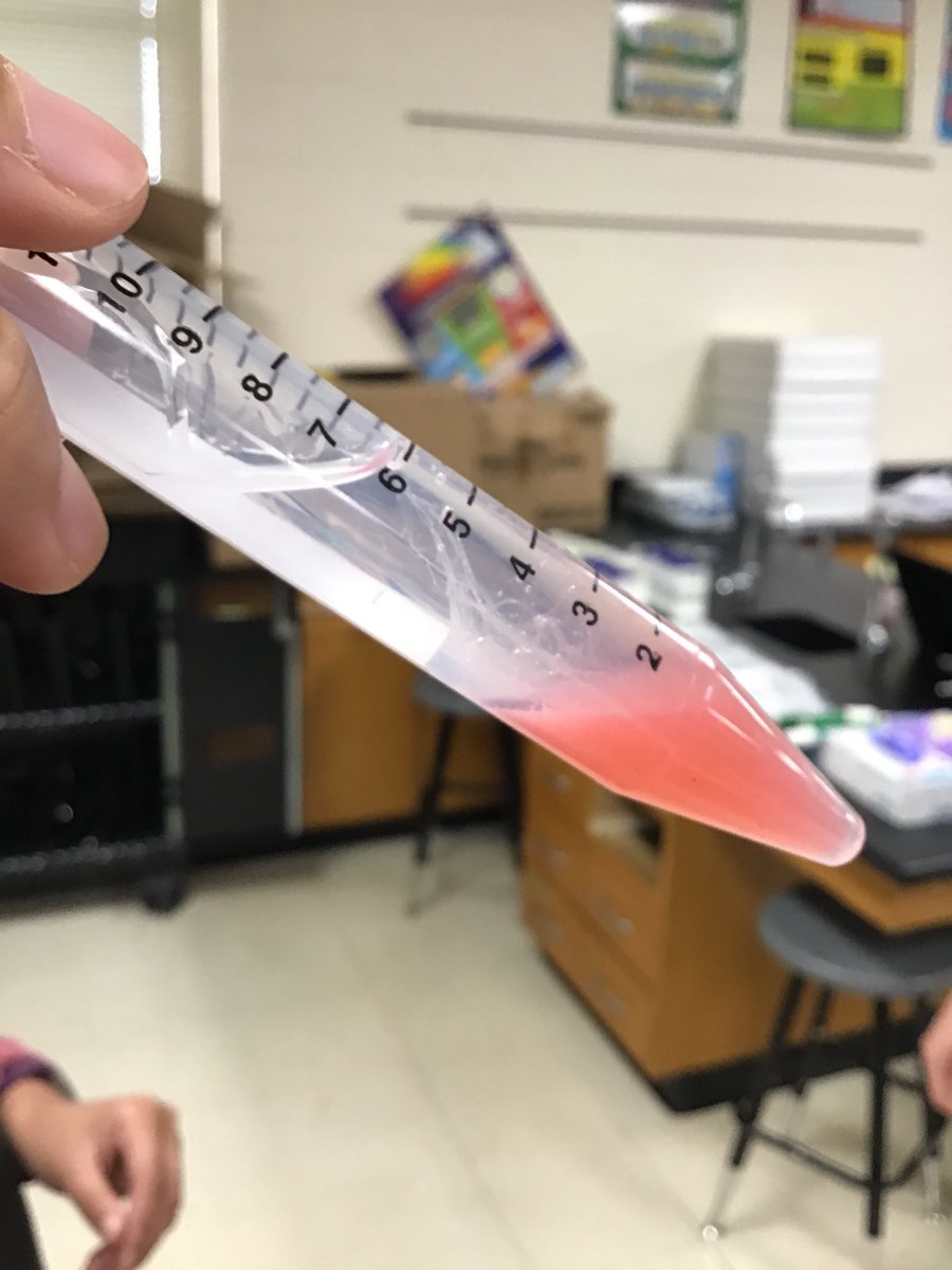 hesterscience's tweet image. PLTW Principles of Biomedical Science explored the process of DNA extraction to better understand how DNA Analysts process crime scene DNA samples! @warriorsci1 #WarriorSTRONG #ssdpride