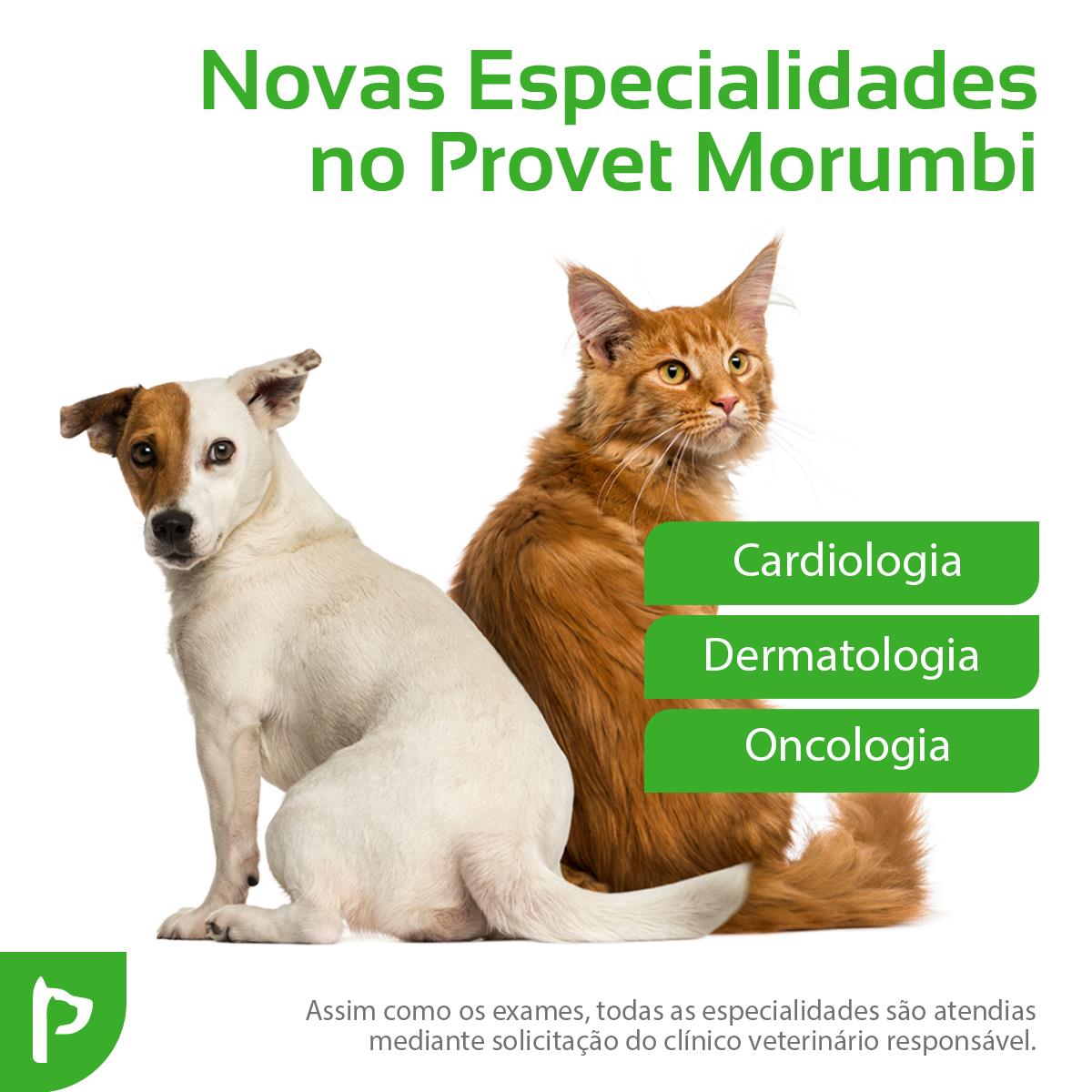 provetdiag's tweet photo. Em nossa Unidade Morumbi, está disponível o atendimento para Cardiologia, Dermatologia e Oncologia. Nossos especialistas irão auxiliar ainda mais o clínico veterinário no diagnóstico e tratamento do seu pet.
Para agendamento e informações, entre em contato por (11) 3579-1427. https://t.co/dyb62Co5sr