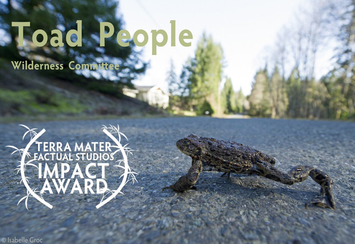 WildscreenFest's tweet photo. Congratulations to our TERRA MATER FACTUAL STUDIOS IMPACT AWARD winner, Toad People
Well done to the team @WildernessCommittee @TerraMaterFactualStudios
🐼🏆 
#wildscreenfest #pandaawards #wildlifefilm #documentary #greenoscars #festival #wildlifefestival #ToadPeople https://t.co/aMrkQ2zuSD