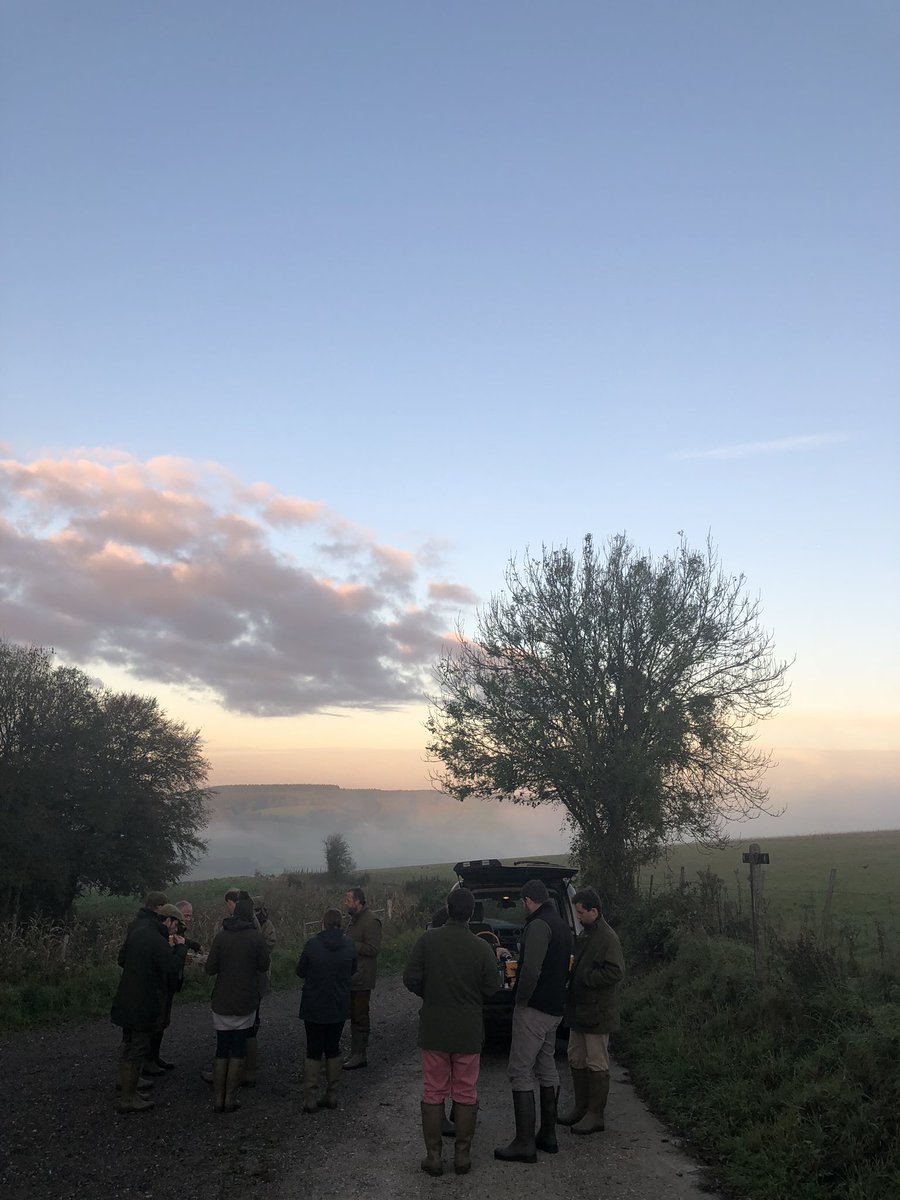 CowdrayHouse's tweet photo. #venison #sausagerolls were popular with our press guests when they stopped for refreshments whilst out with the #Cowdray #deermanager #southdowns 😋 @FieldingsGC @LeChameau1927 #cowdrayexperience https://t.co/PWgQisidSs https://t.co/14ggfh5lCx