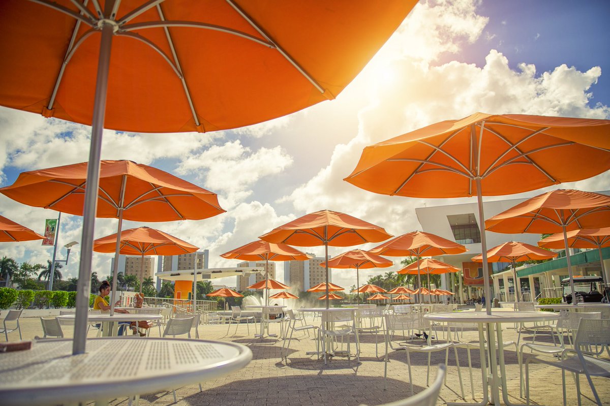 univmiami's tweet photo. Orange you jealous this is isn't your view? 🧡🙌📙 #umiami https://t.co/XFPQWY9SXi