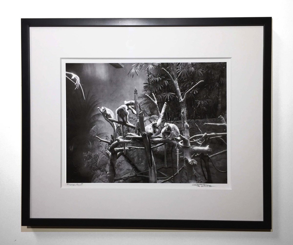 AlexCourtneyNYC's tweet image. Movin’ my hobby onto the walls.. first time.  Thanks Mark for the help. #framedestination