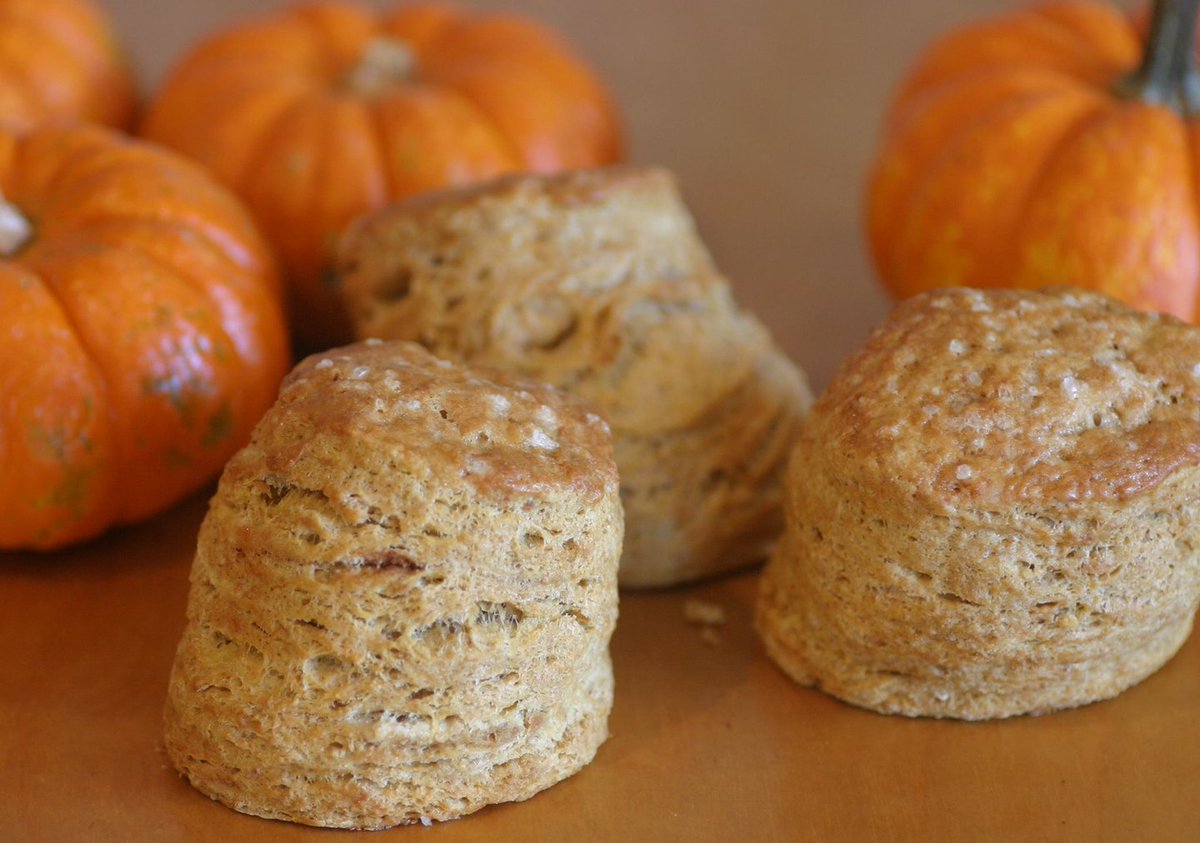 Ottawa_Tourism's tweet photo. From pumpkin beer to pumpkin Beavertails, check out our favourite fall treats to dive into this season in Ottawa https://t.co/dr4tcomEVf #MyOttawa #DiscoverON https://t.co/9OeWOfor1I