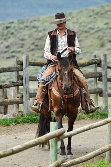 к. камбой. камбой. штат техас хилл кантри ранчо. шериф дикий запад.